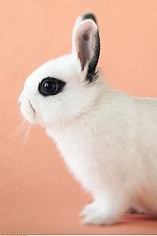 《暗黑破坏神4》新短片欣赏 英雄大战地狱军团！